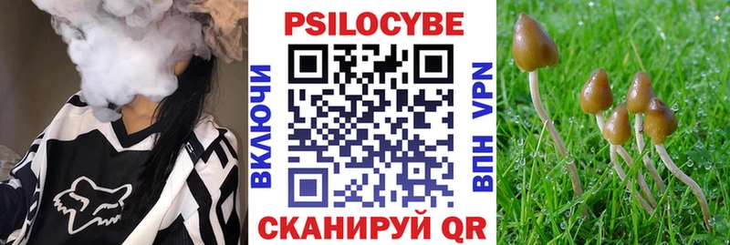 Галлюциногенные грибы мицелий  закладки  Баксан 